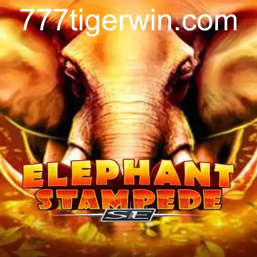 ElephantStampedeSE